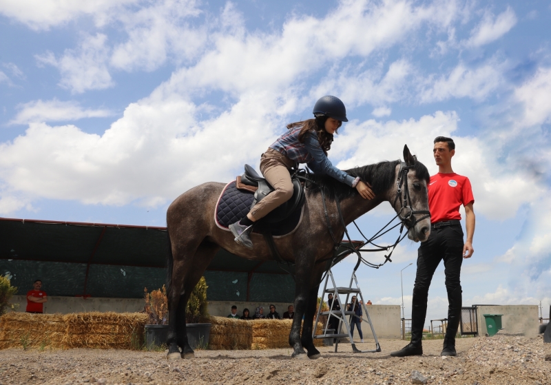 Kayserililer, Büyükşehir